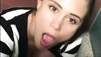 A ionate brunette sucks cock on her knees